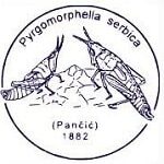 Acta Entomologica Serbica