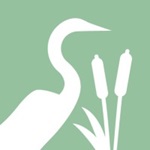 New project of HORIZON EUROPE Innovation actions - "Restore4Life"